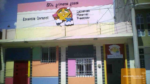 Entrada (vista previa)
