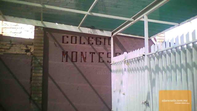 Entrada (vista previa)