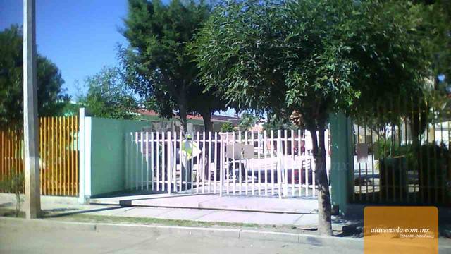 Entrada (vista previa)
