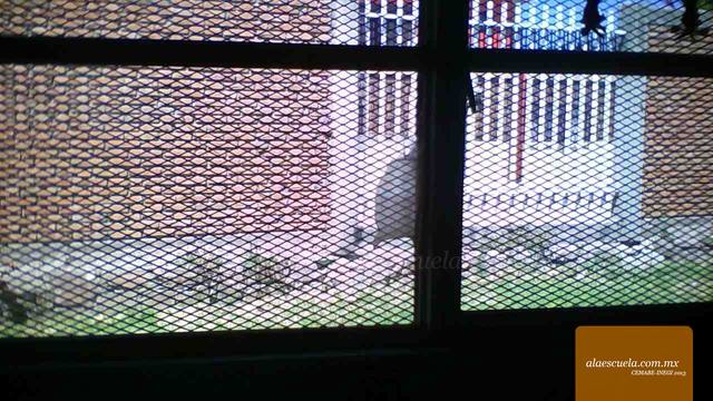 Aulas (vista previa)