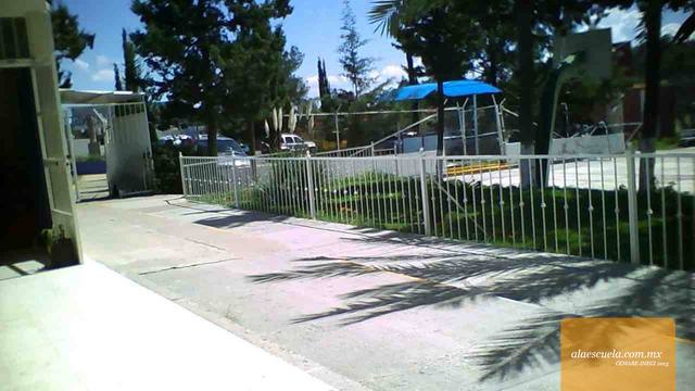 Entrada (vista previa)