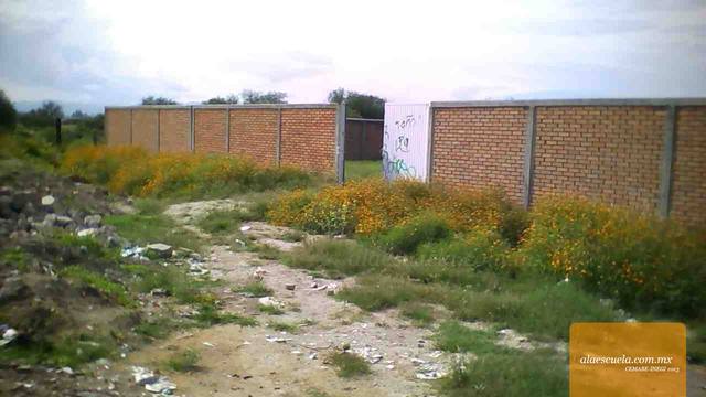 Entrada (vista previa)