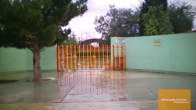 Entrada (vista previa)