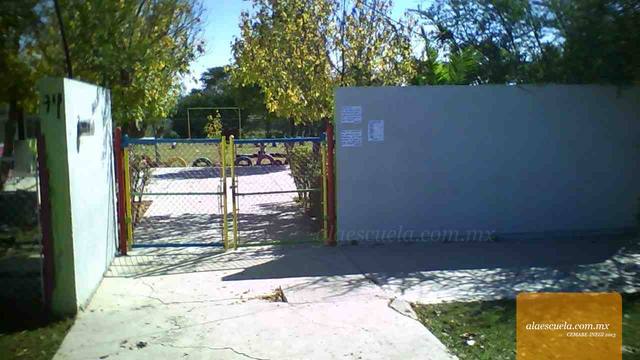 Entrada (vista previa)