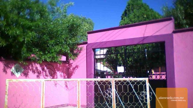 Entrada (vista previa)