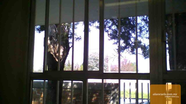 Aulas (vista previa)