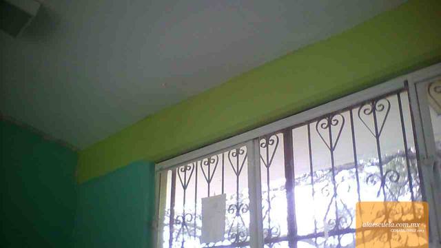 Entrada (vista previa)