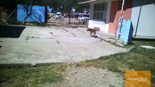 Áreas (vista previa)