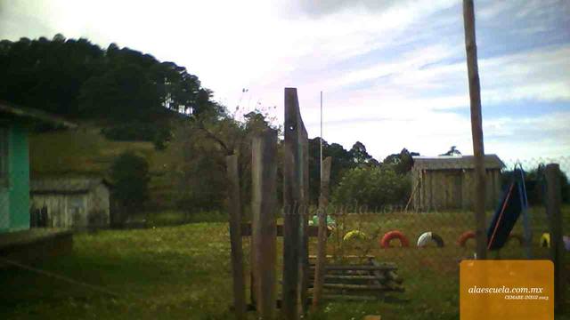 Entrada (vista previa)