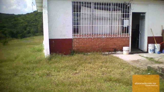 Entrada (vista previa)