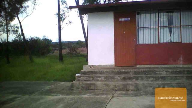Entrada (vista previa)