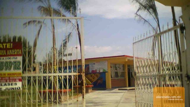 Entrada (vista previa)