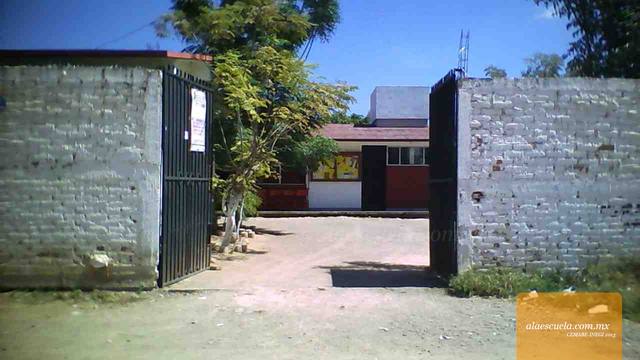 Entrada (vista previa)