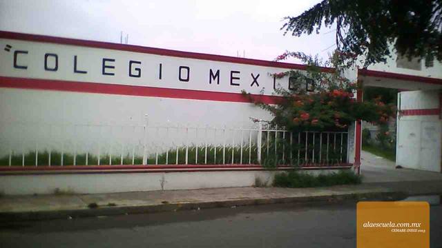Entrada (vista previa)