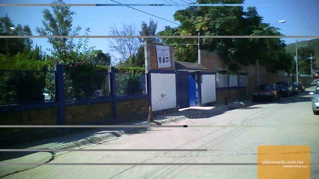 Entrada (vista previa)