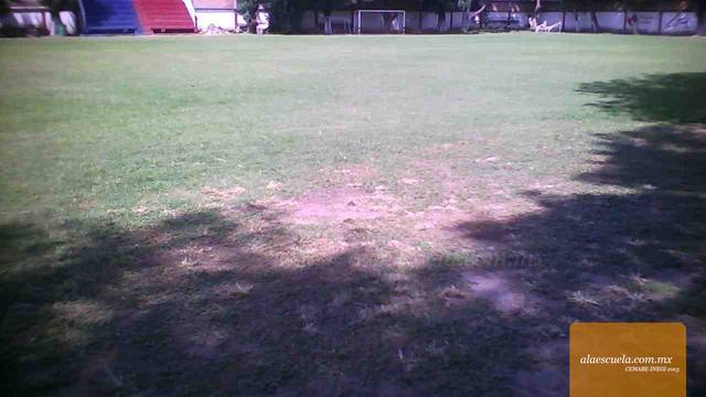 Áreas (vista previa)