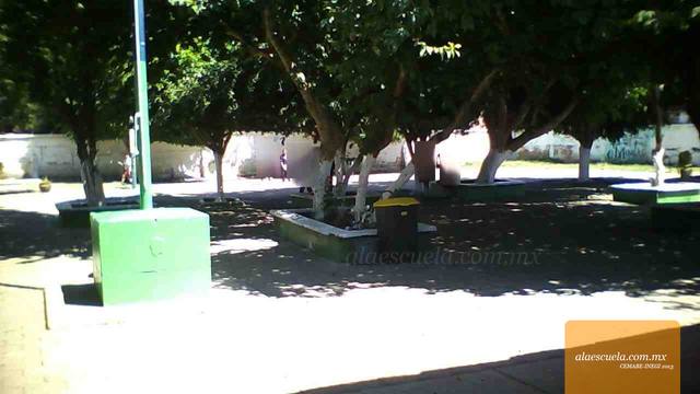 Áreas (vista previa)