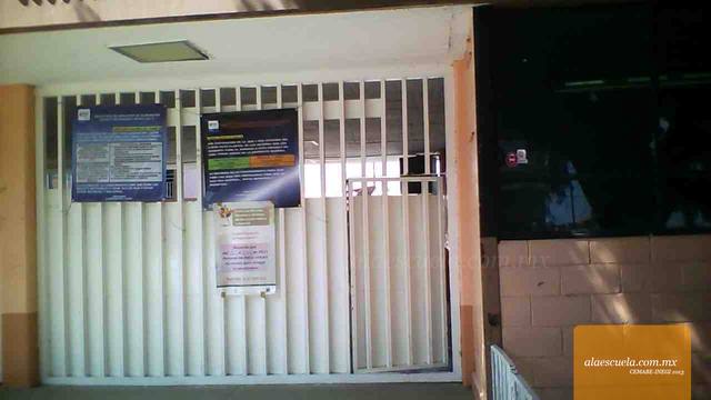 Entrada (vista previa)