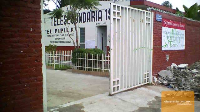 Entrada (vista previa)