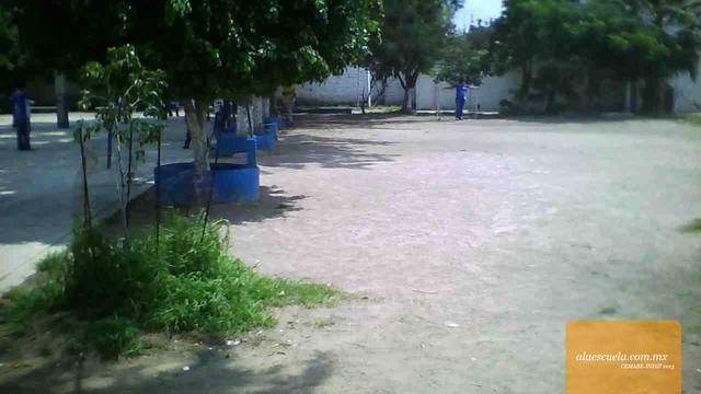 Áreas (vista previa)
