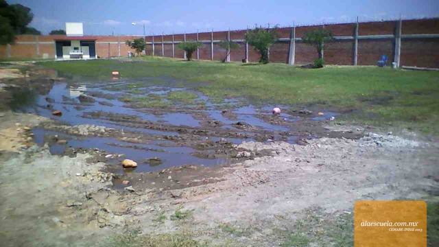 Áreas (vista previa)