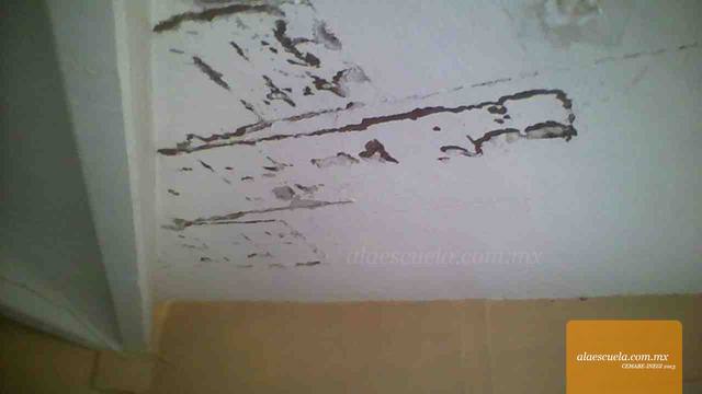Aulas (vista previa)