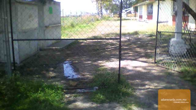 Entrada (vista previa)