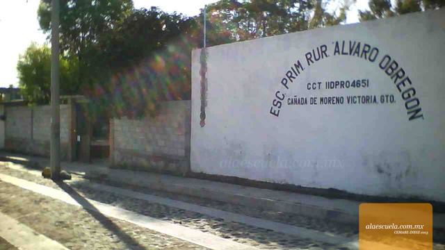 Entrada (vista previa)