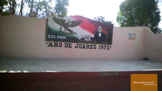 Entrada (vista previa)