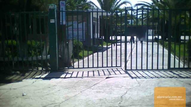 Entrada (vista previa)