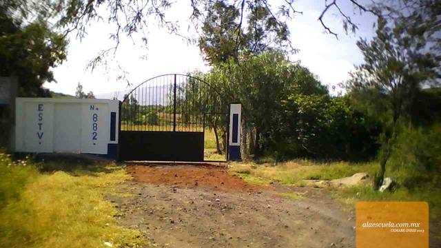 Entrada (vista previa)
