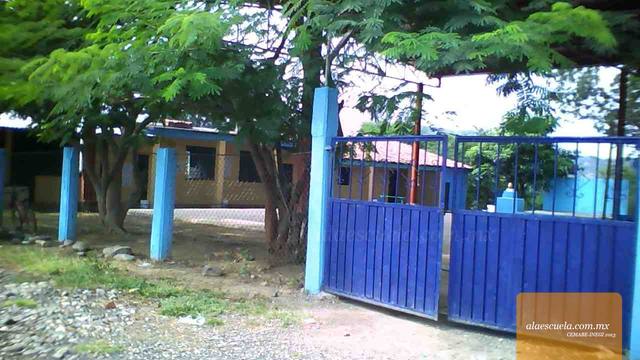 Entrada (vista previa)