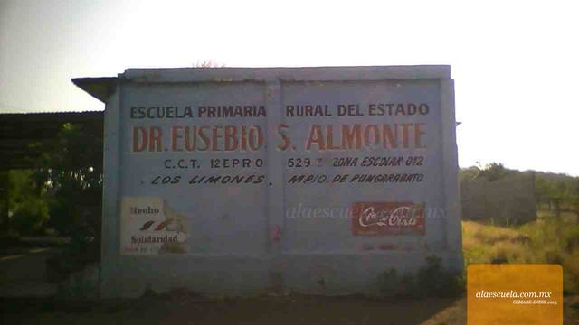 Entrada (vista previa)