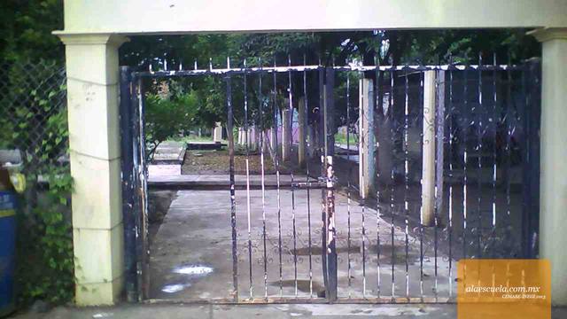 Entrada (vista previa)