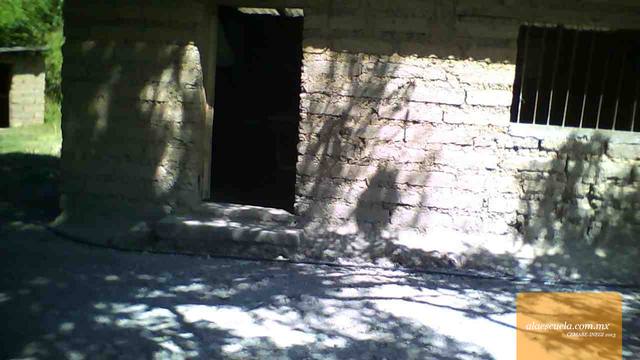 Entrada (vista previa)