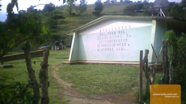 Entrada (vista previa)
