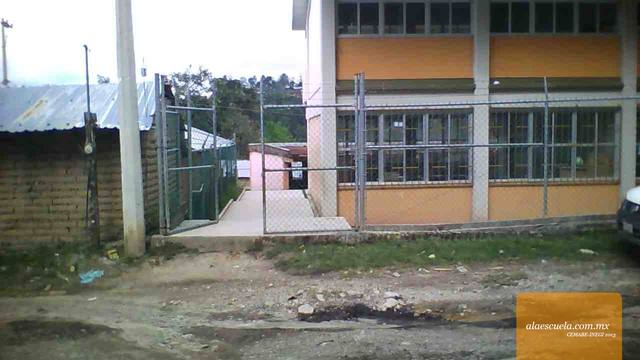 Entrada (vista previa)