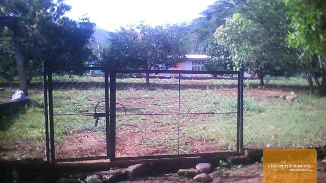 Entrada (vista previa)