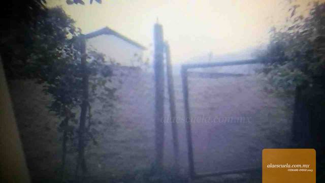 Entrada (vista previa)