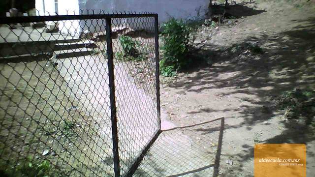 Entrada (vista previa)