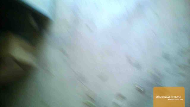 Entrada (vista previa)