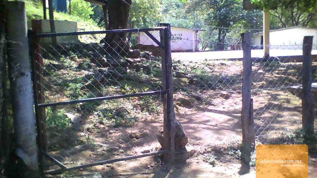 Entrada (vista previa)