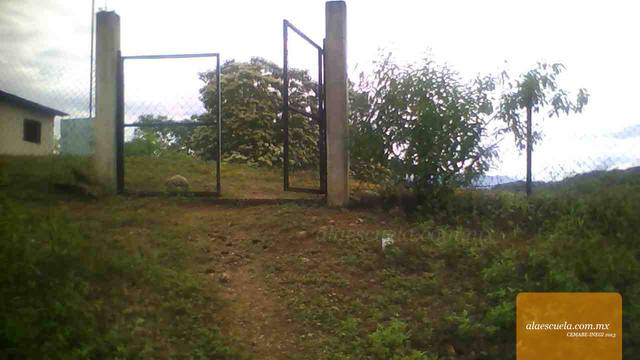 Entrada (vista previa)