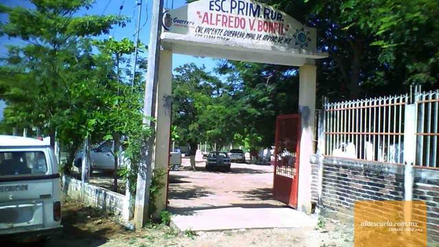 Entrada (vista previa)