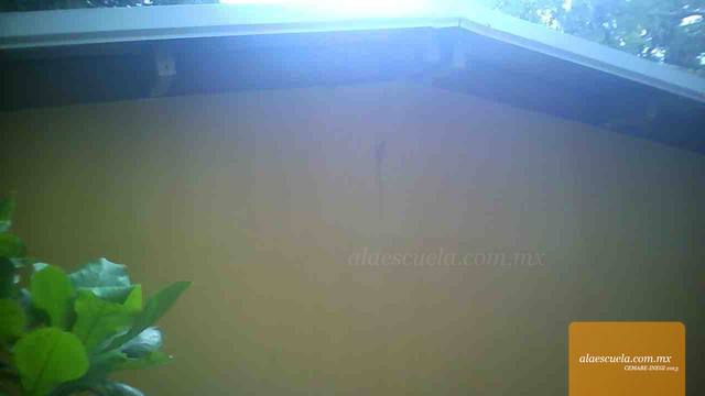 Aulas (vista previa)