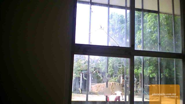 Aulas (vista previa)