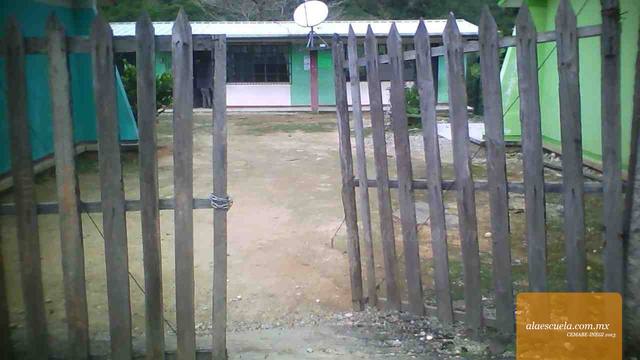 Entrada (vista previa)