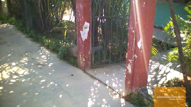 Entrada (vista previa)