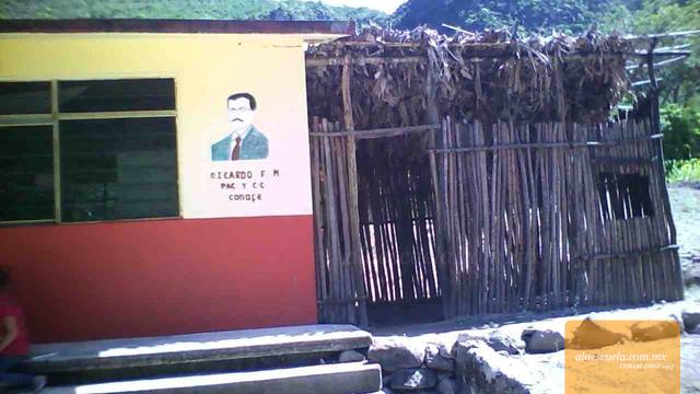 Entrada (vista previa)