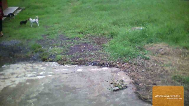 Áreas (vista previa)